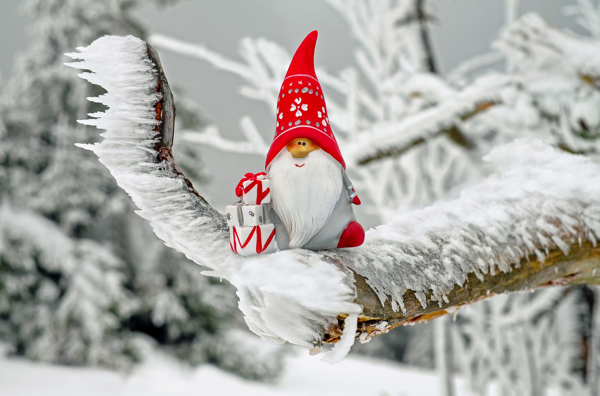 Get sleep in time for Santa