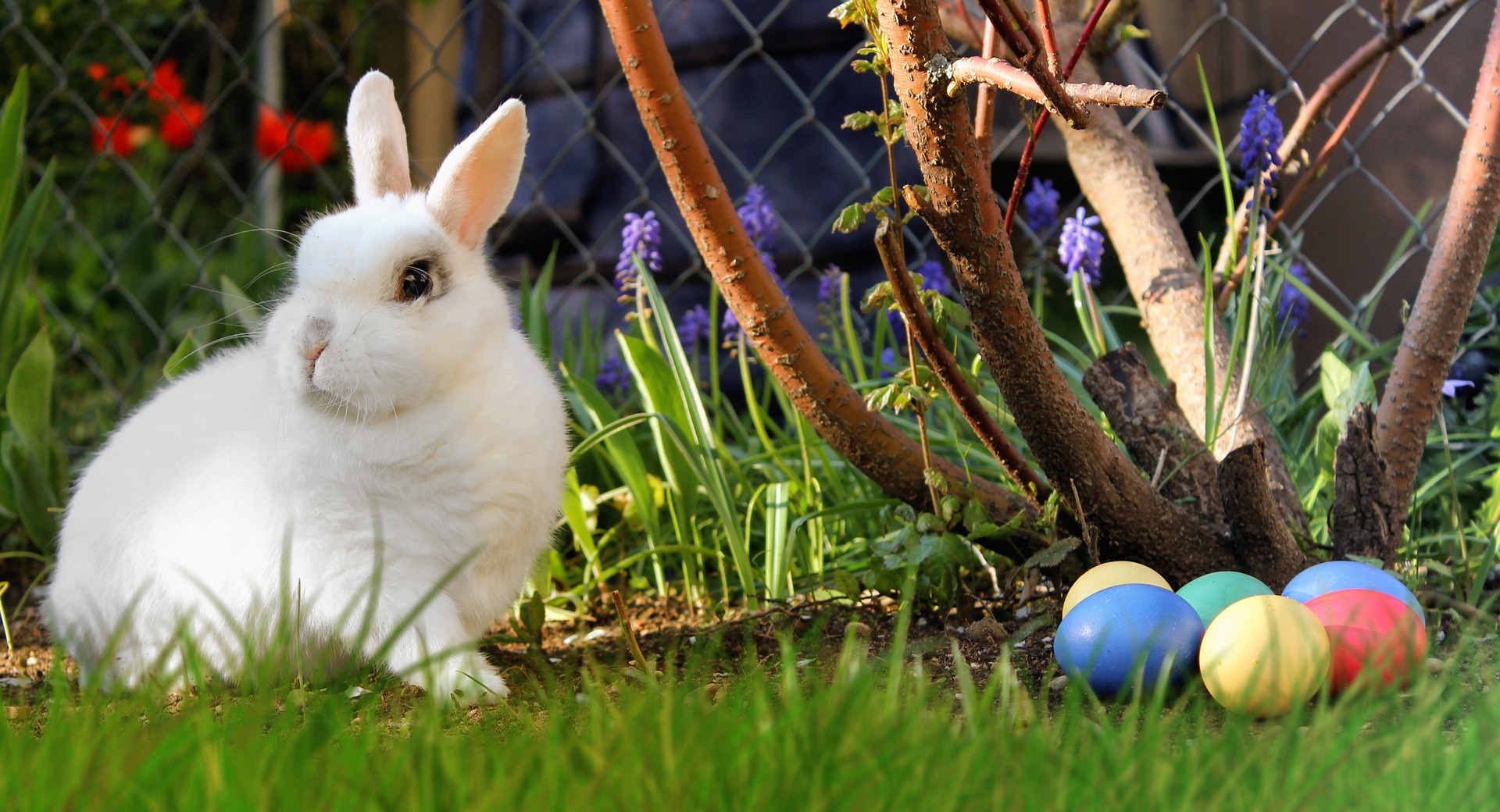 Curb Easter’s Sugar High